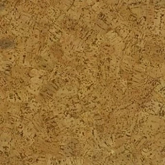 BORNEO